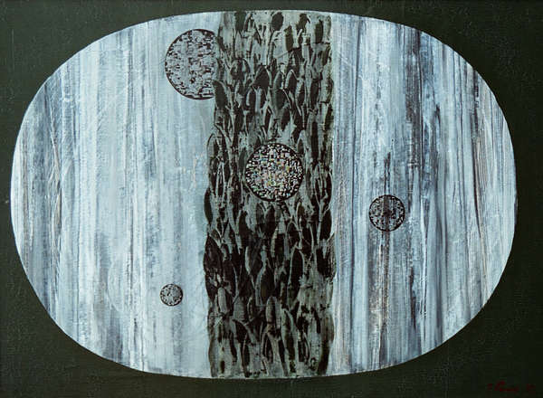 Vesmírná vegetace (1972) | Jaroslav Paur